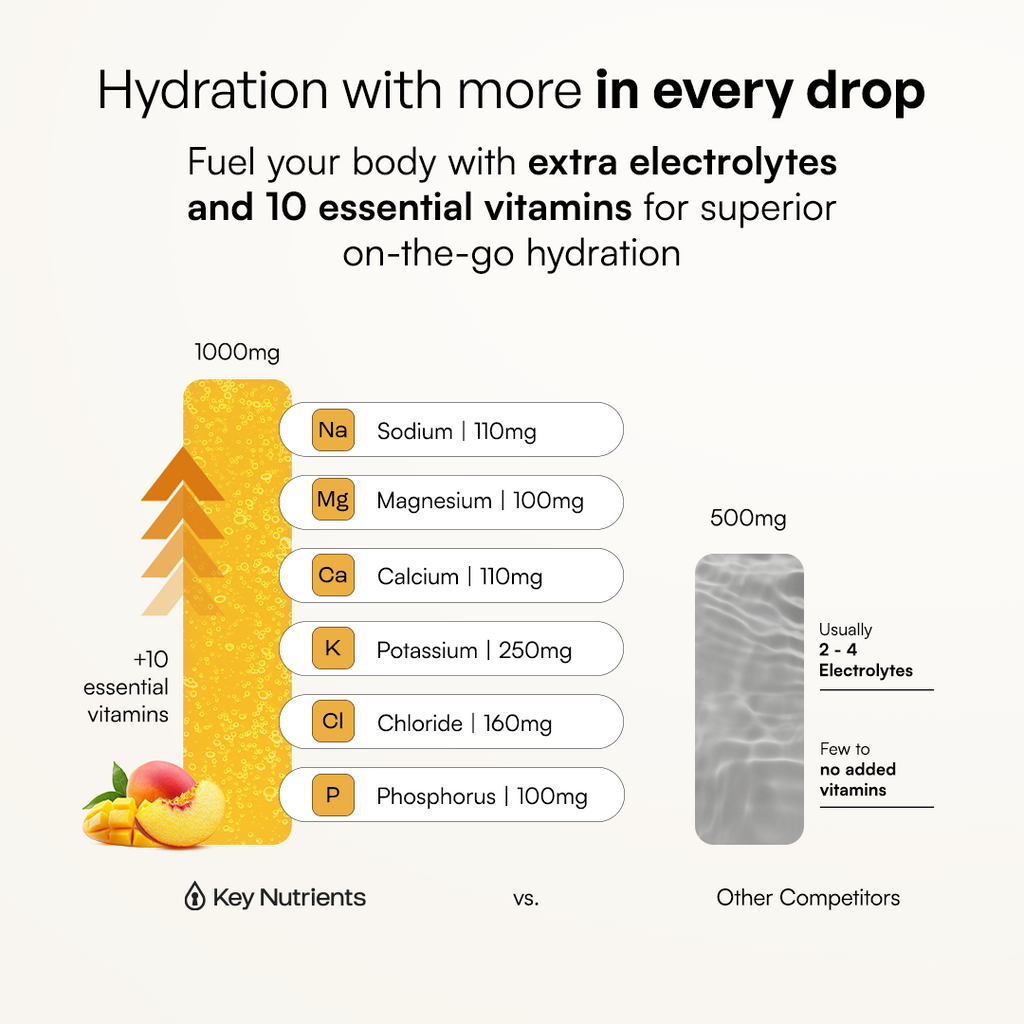 Electrolyte Powder for Hydration & Recovery – Sugar-Free Drink Mix