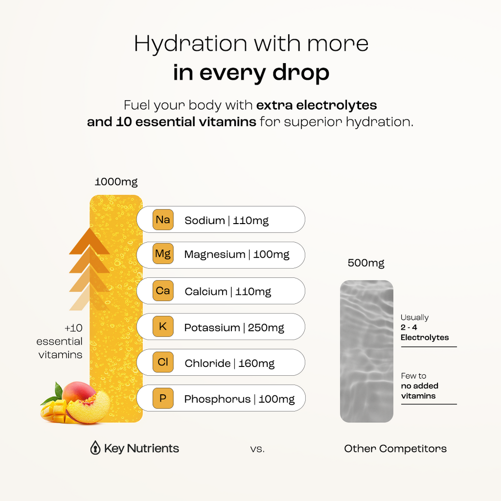 Electrolyte Powder for Hydration & Recovery – Sugar-Free Drink Mix
